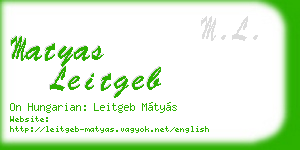 matyas leitgeb business card