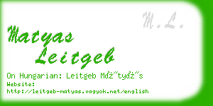 matyas leitgeb business card